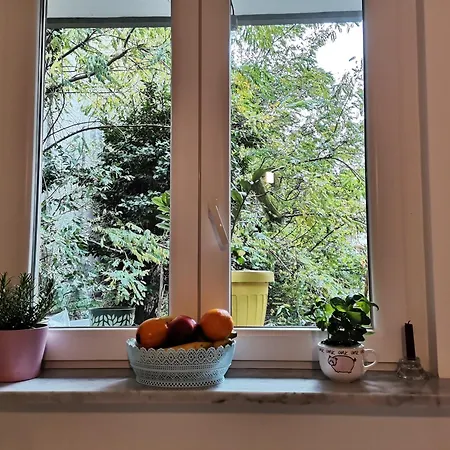 My House *